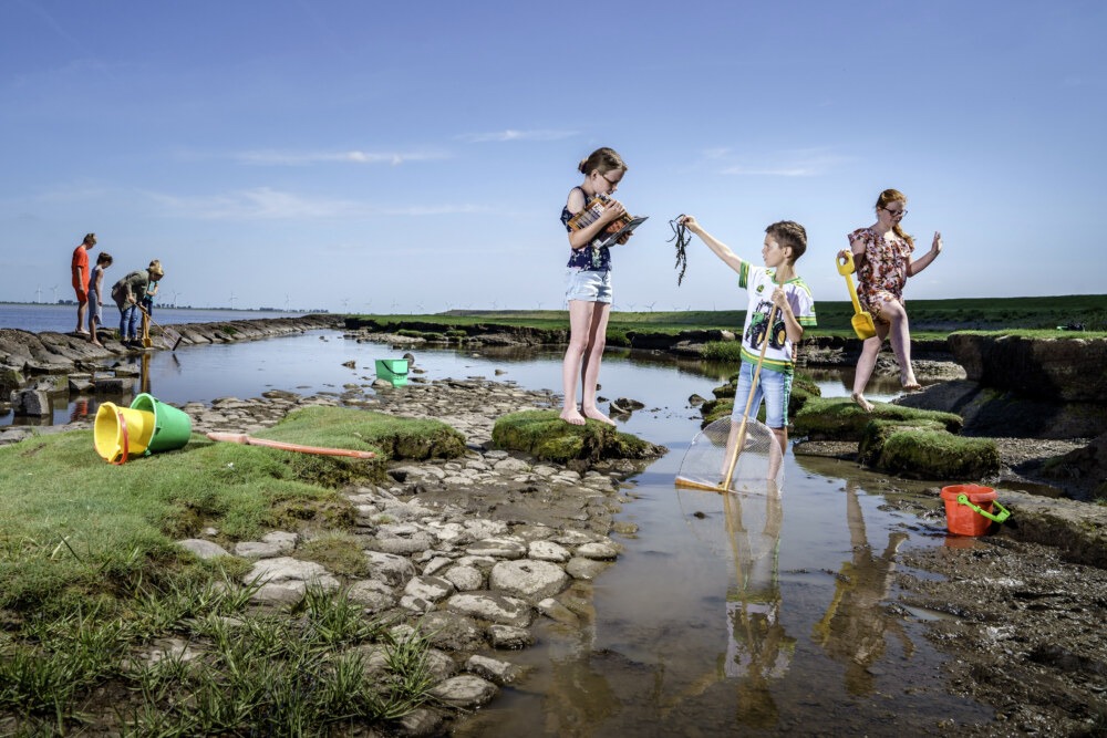 Een buiten/natuurles op de kwelders onder Delfzijl van een basisschoolklas voor een scholenorganisatie in Noord-Groningen.